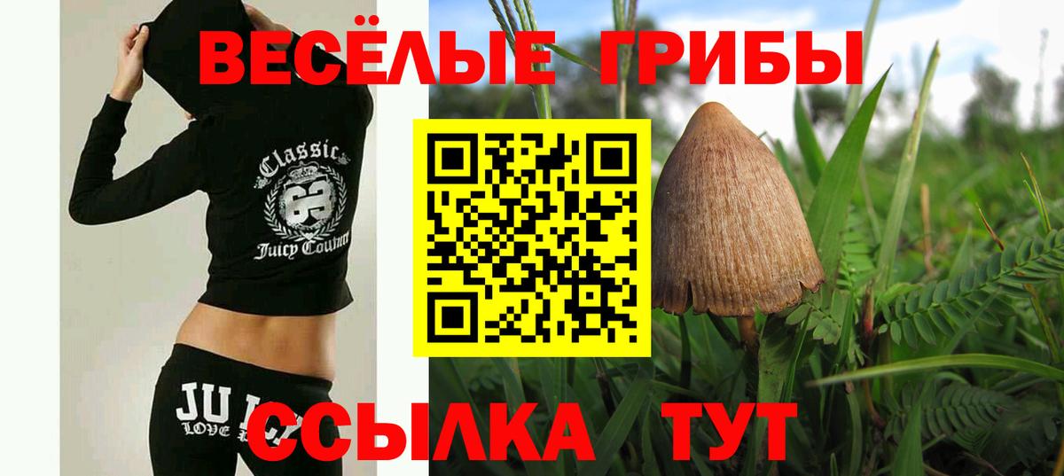 Галлюциногенные грибы Cubensis  Псилоцибиновые грибы Psilocybine cubensis  Курган  Вход с VPN 